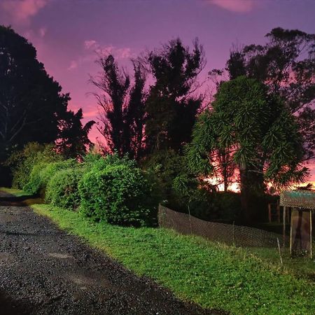 Natures Retreat Hotels And Resorts Ooty Exteriör bild