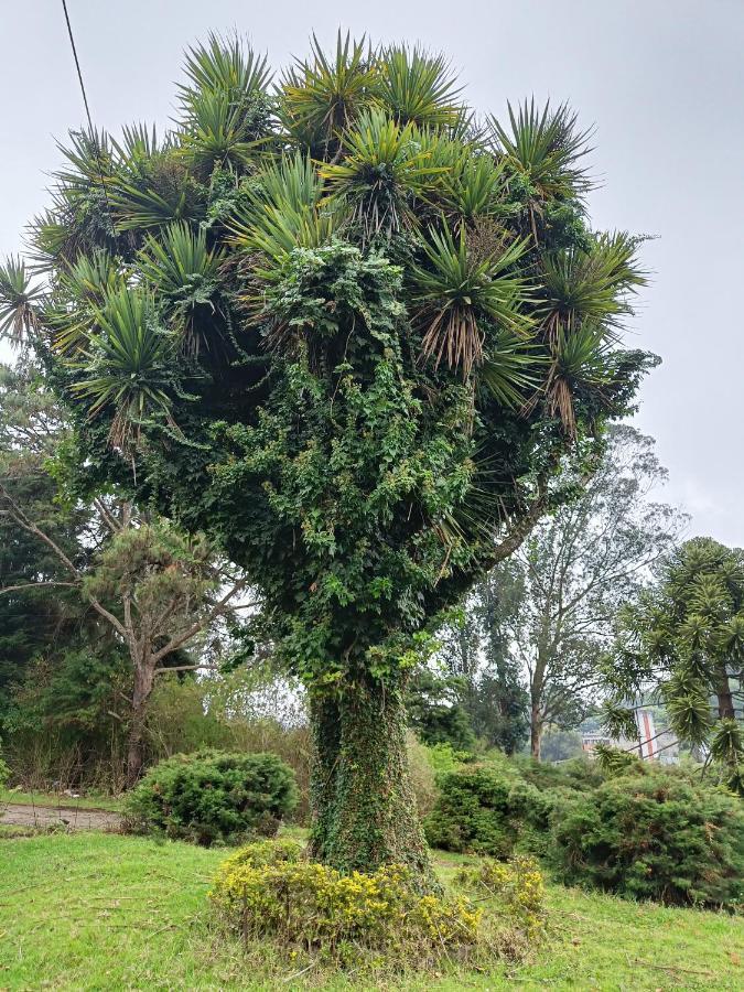 Natures Retreat Hotels And Resorts Ooty Exteriör bild