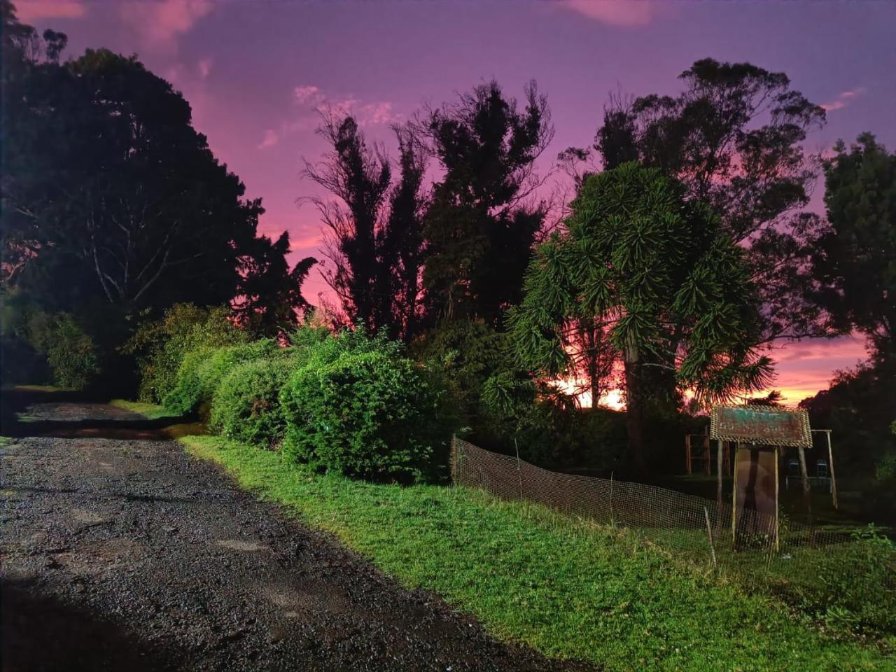 Natures Retreat Hotels And Resorts Ooty Exteriör bild